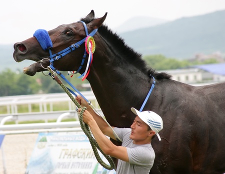  PYATIGORSK, RUSSIA - JULY 10:The  unidentified groom and bay stallion Proper Redi after winning the Anilina race on June 10, 2011 in Pyatigorsk, Caucasus, Russia. のeditorial素材