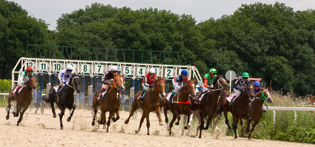 PYATIGORSK,RUSSIA - JULE 06:Race for the prize of the "Derby",Jule 06,2014  in Pyatigorsk,Northern Caucasus, Russia.のeditorial素材