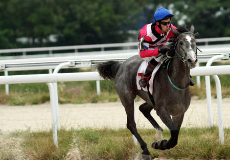 The race for the prize of the Sravnenia  in Pyatigorsk,Northern Caucasus, Russia.