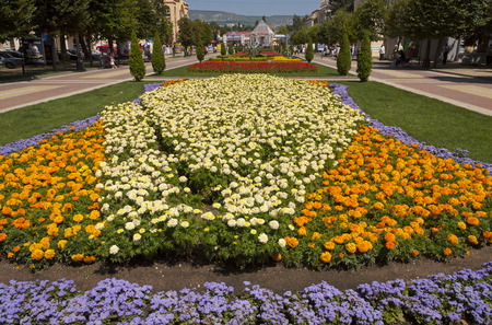 KISLOVODSK,RUSSIA - AUGUST 06,2013:Resort park - ornament and pride of Kislovodsk,Caucasus, Russia on August 06,2013のeditorial素材