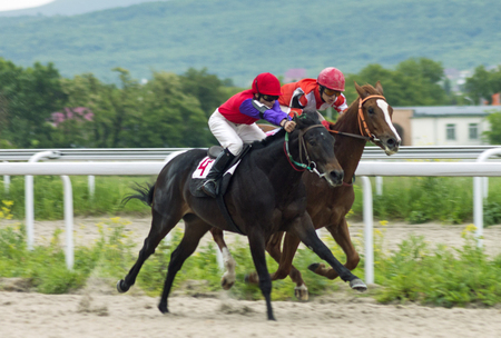 PYATIGORSK, RUSSIA - MAY 28,2017: Horse race for the traditional prize Probni in Pyatigorsk, the largest in Russia on May 28,2017.のeditorial素材