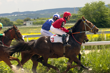 PYATIGORSK,RUSSIA - MAY 28,2017 : Horse race for the traditional prize Ogranichitelni in Pyatigorsk,the largest in Russia on May 28,2017.のeditorial素材