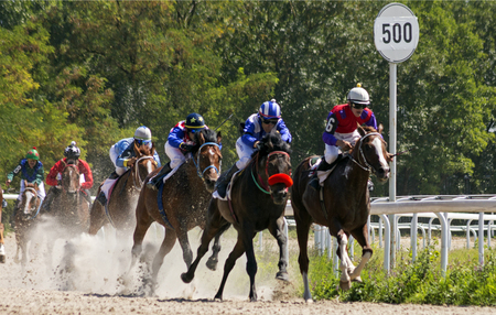 PYATIGORSK,RUSSIA - AUGUST 13,2017: Horse race for the traditional prize of Budennogo- the oldest and the largest racecourses in Russia.のeditorial素材