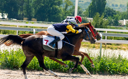 PYATIGORSK,RUSSIA - AUGUST 06,2017: Horse race for the  Letni prize of the oldest racecourses in Russia on August 06,2017.のeditorial素材