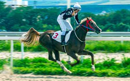 Horse race in Pyatigorsk, Russia.のeditorial素材