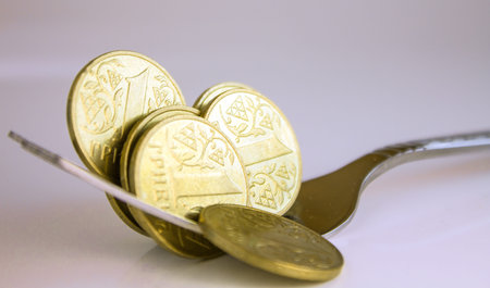 Ukrainian coins with stainless fork on background