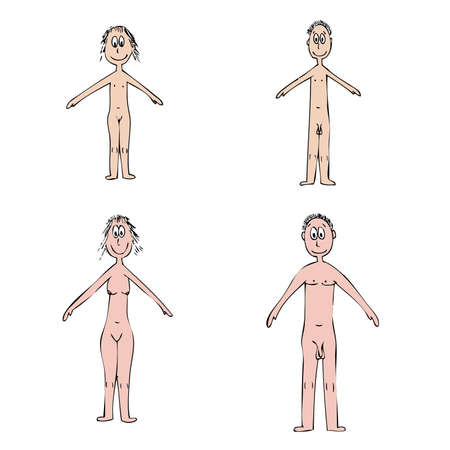 human bodyのイラスト素材