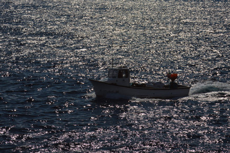 fishing boat going to the port