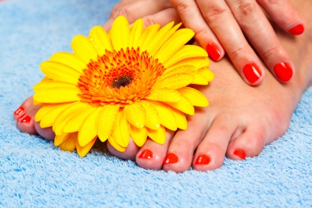 manicure, pedicure on hands of a young woman and gerbera and blue towelの写真素材