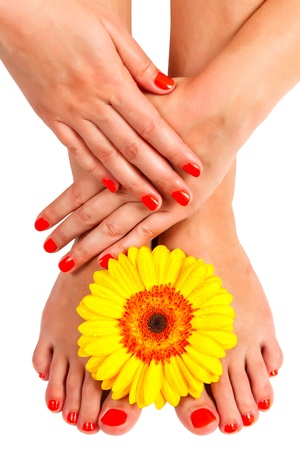 pedicure feet and manicure on hands of a young woman and yellow gerbera flower isolated on white backgroundの写真素材