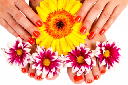 pedicure feet and manicure on hands of a young woman and yellow gerbera flower isolated on white backgroundの写真素材