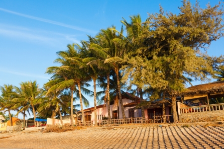 beach, palm trees and houses in the background of blue sky in Vietnamの写真素材
