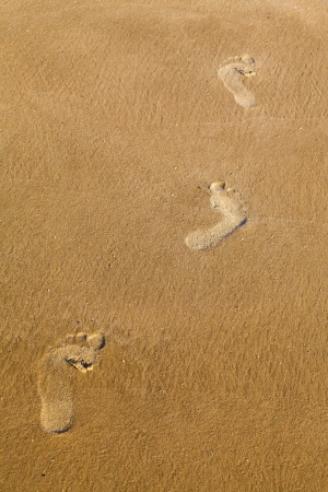 footprints in the sand of the sea, in the light of the sunの写真素材
