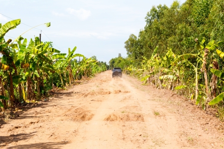 Jeep on the road in the jungles of Vietnamの写真素材