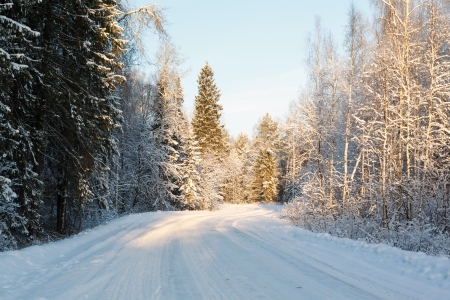 russian winter road and trees in snow blue skyの写真素材
