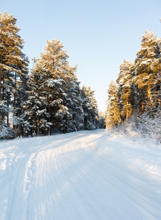 russian winter road and trees in snow blue skyの写真素材