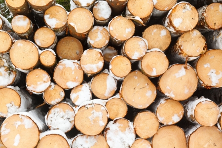 Stack of cut timber logs against. On an old paper.の写真素材