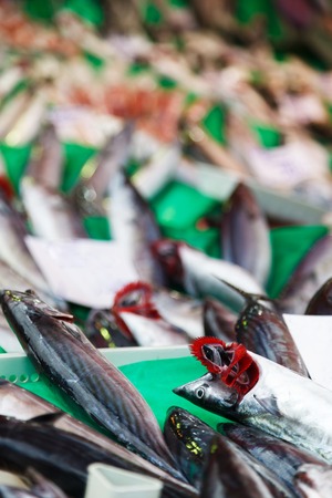 fresh fish market at the port of Istanbulの写真素材