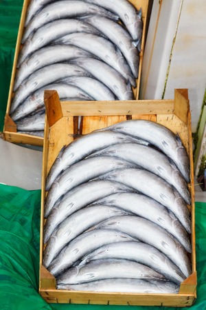 fresh fish in a box on the market at the port of Istanbulの写真素材