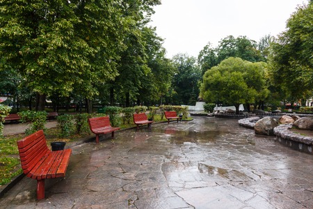summer early morning on the Boulevard Ring in Moscow, benches under rainの写真素材