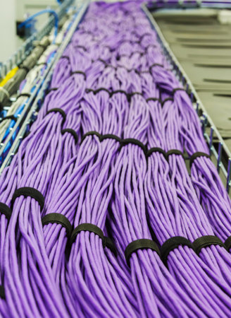Large group of lilac utp Internet cables in Data Center