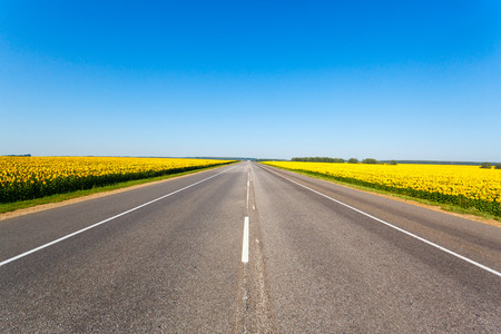 road and Beautiful landscape with sunflower field on background blue skyの写真素材