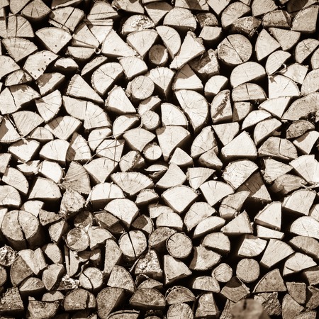 stack birch firewood in Russia, natural backgroundの写真素材