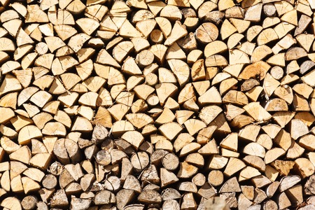 stack birch firewood in Russia, natural backgroundの写真素材