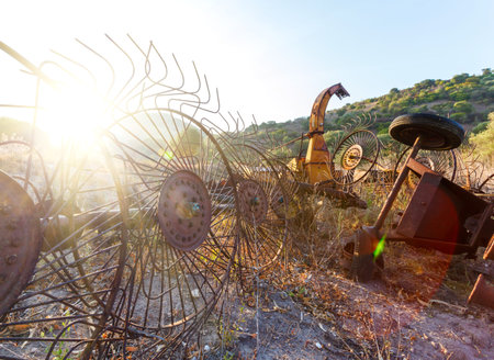 Antique Farm Equipment, Old hay rake at sunrise, Italyの写真素材