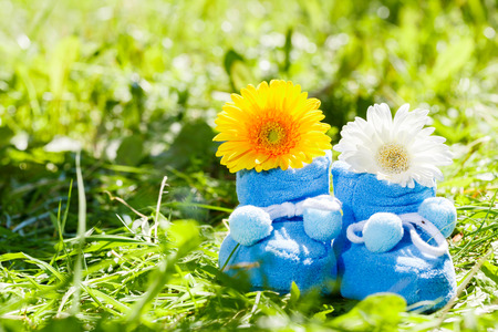 Blue booties and chrysanthemum on the green grassの写真素材