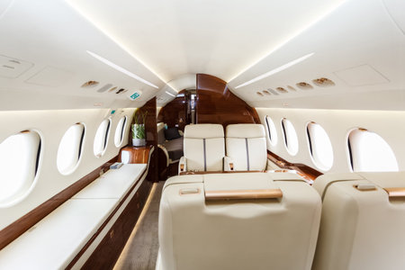 Luxury interior in bright colors of genuine leather in the business jet