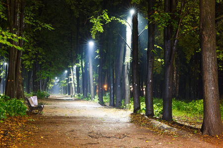 mist, benches on pavement in light lantern at night, Moscow summer parkの写真素材