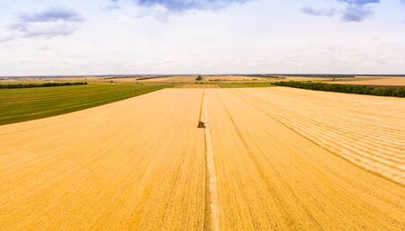 Very old rusty Combine harvester harvests wheat in the field at sunset in autumn in Russia. view from a height of equipment and field.の写真素材