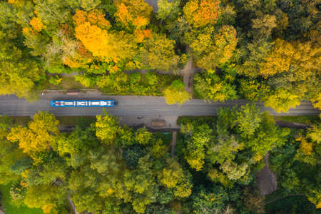 Public transport of the metropolis, Moscow tram from a height among the autumn forest of Izmailovsky Park.の写真素材
