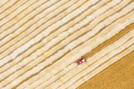 Combine harvester harvests wheat in the field at sunset in autumn in Russia. view from a height of equipment and fieldの写真素材