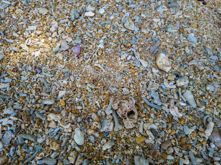 Sea sand with brown dominant colorの写真素材