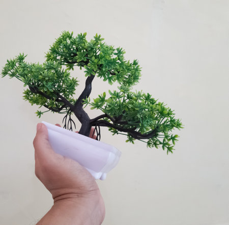 Plastic bonsai plants in white pots are usually for home decorationの写真素材