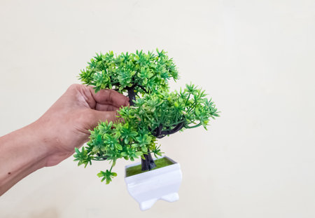 Plastic bonsai plants in white pots are usually for home decorationの写真素材