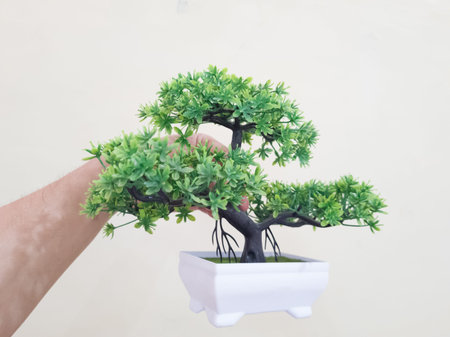 Plastic bonsai plants in white pots are usually for home decorationの写真素材