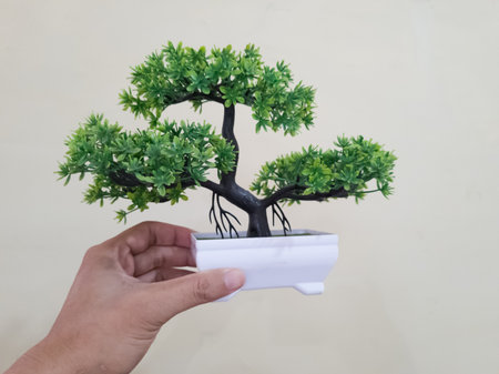 Plastic bonsai plants in white pots are usually for home decorationの写真素材