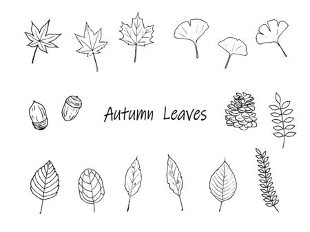 Pen drawing set of autumn leavesのイラスト素材