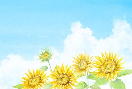 Sunflower postcard templateの写真素材