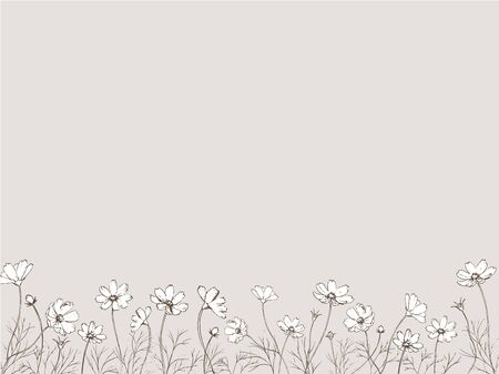 Pen drawing of cosmos flower field.のイラスト素材