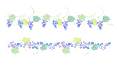 Watercolor illustration of grape line.のイラスト素材