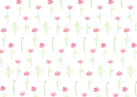 Watercolor illustration of cosmos pattern.