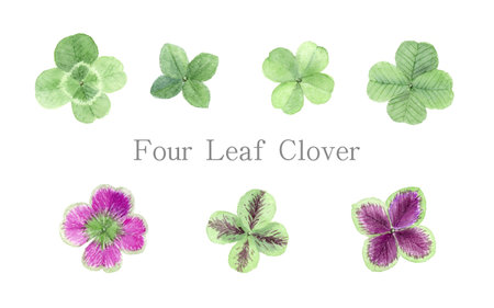 a four-leaf clover set painted with watercolors