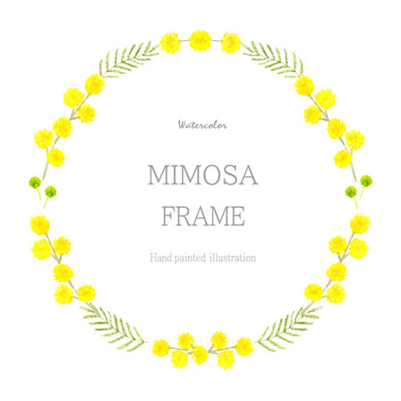 Mimoza frame painted with watercolorのイラスト素材