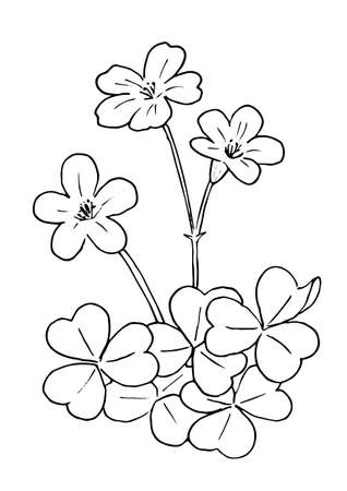 Katabami's Line Artのイラスト素材