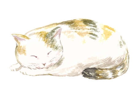 Watercolor illustration of a cat taking a napのイラスト素材