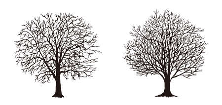 Vector illustration of tree silhouette.のイラスト素材